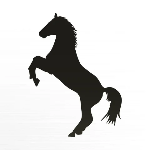 Steigerend paard in zwart